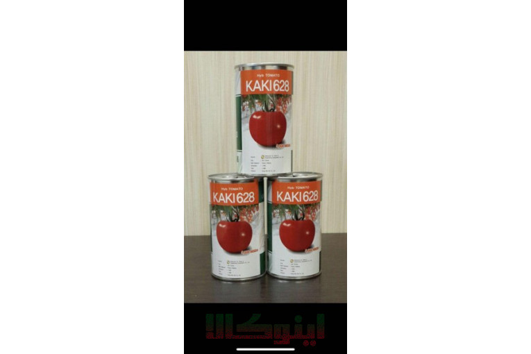 فروش بذر گوجه فرنگی کاکی628