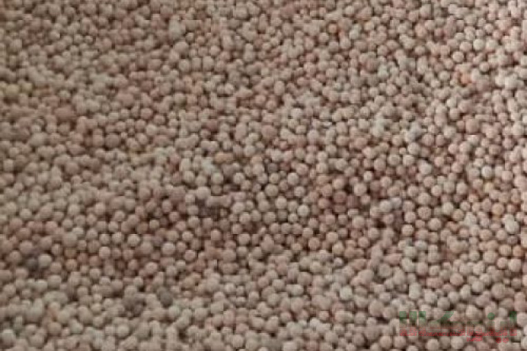 مولکولارسیو A3 و اکتیو آلومینا