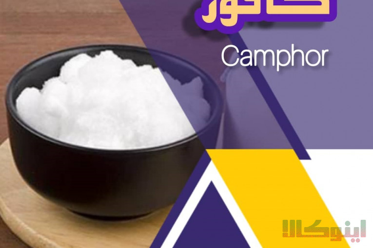 فروش ویژه کافور