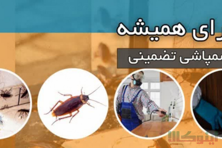 سمپاشی اماکن