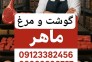 پخش عمده گوشت و مرغ احسان
