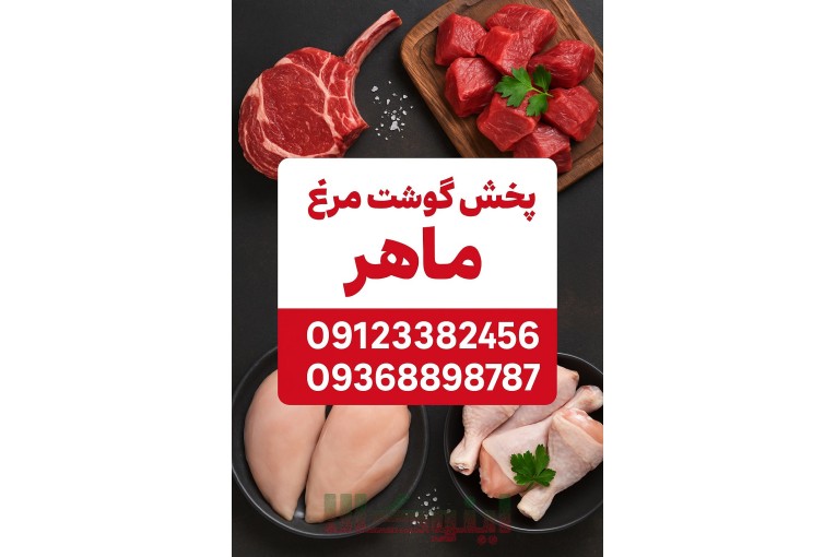 پخش عمده گوشت و مرغ احسان