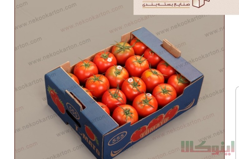 کارتن گوجه صادراتی، لیبل گوجه 